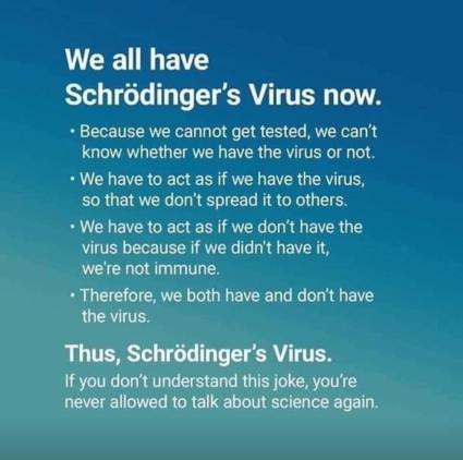 schrodinger virus